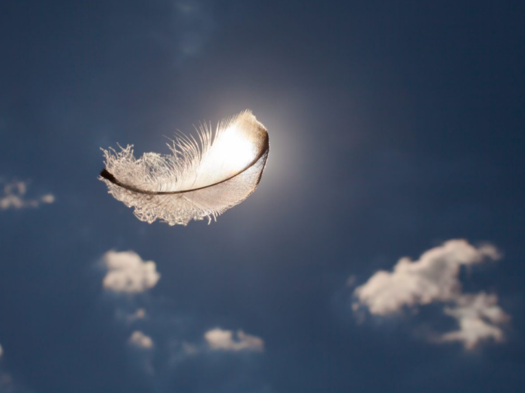 « VERTU-OSE » DE L’ÉQUILIBRE DES PENSÉES