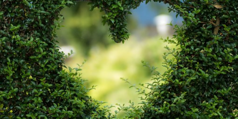 LE PLUS GRAND REMÈDE