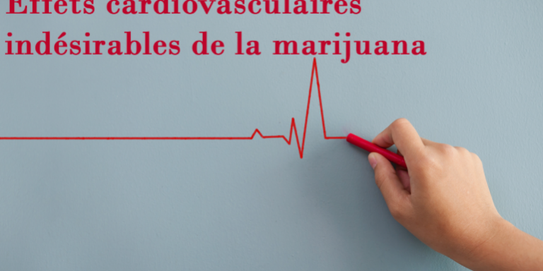 EFFETS CARDIOVASCULAIRES INDÉSIRABLES DE LA MARIJUANA