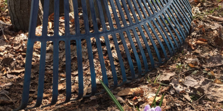 LE MOUVEMENT FERAIT-IL PARTIE DU BONHEUR