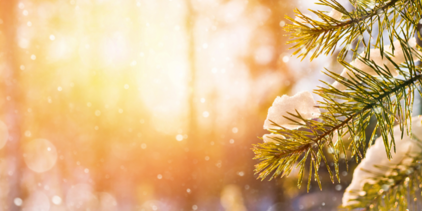 Décembre… un mois de lumière